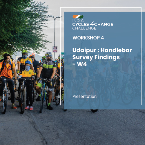 Udaipur Handlebar Survey Findings – W4